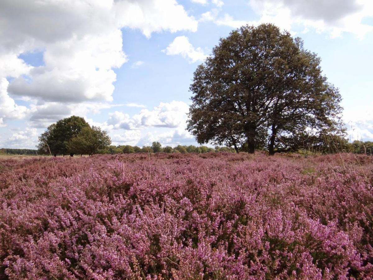B&B De Panheide Hooghalen Kültér fotó