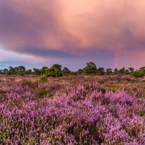 B&B De Panheide Hooghalen Kültér fotó