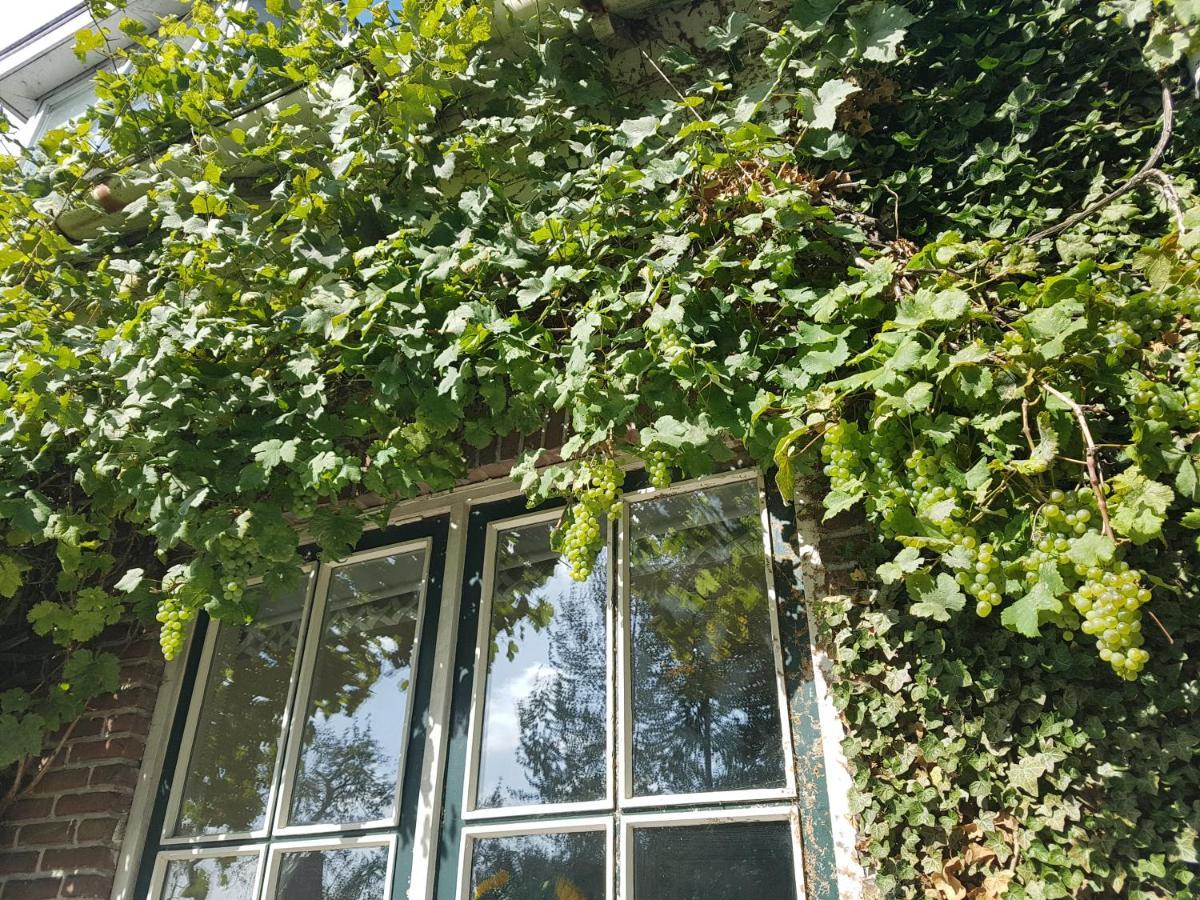 B&B De Panheide Hooghalen Kültér fotó