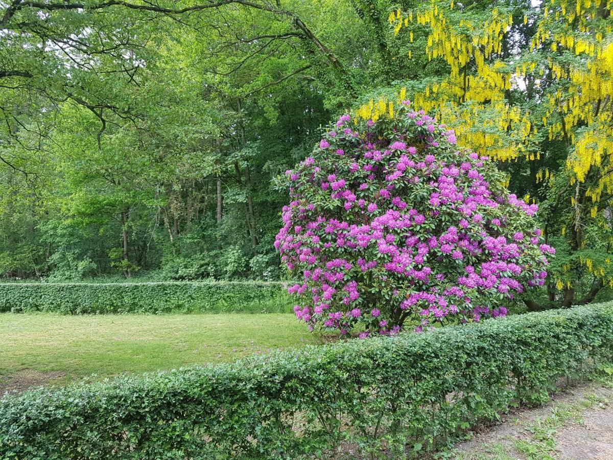 B&B De Panheide Hooghalen Kültér fotó